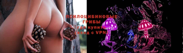 эйфоретик Белоозёрский