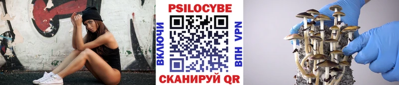 где купить наркотик  Коммунар  omg ССЫЛКА  Псилоцибиновые грибы Cubensis 